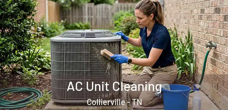  AC Unit Cleaning Collierville - TN
